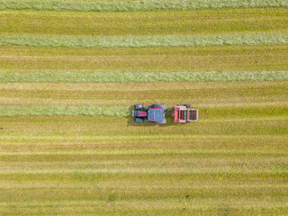 Fototapeta na wymiar Aerial view of tractor harvesting green hay from meadow.