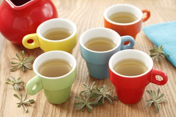 Mountain everlasting tea (Antennaria dioica)