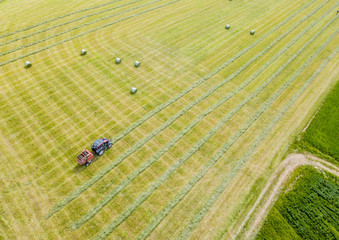 Aerial view of tractor harvesting green hay from meadow. © Mario