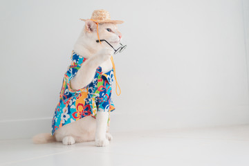 Funny cat going on vacation,wear beach shirt and hat in summer concept . © grooveriderz