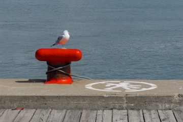Pause au bord du fleuve