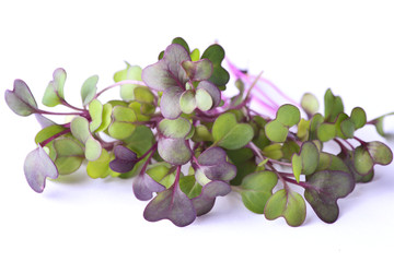 microgreens and healthy sprouts on a white background - 268167780