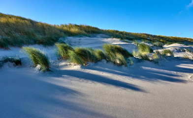 dunes on the island of wangerooge in the north sea in germany