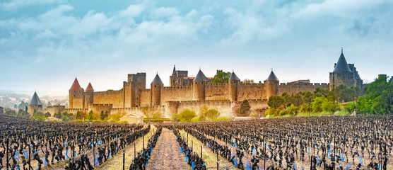 View of the medieval city of Carcassonne from a vineyard, France