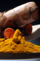 Curcuma longa 614_5569