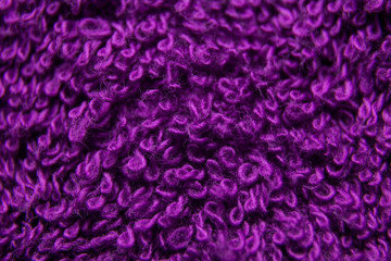 Fototapeta premium Warm wool colored cloth with sheep curled nap, close-up