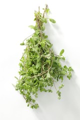 Marjoram