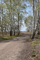 Beautiful gravel road by springtime