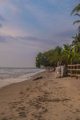 Fototapeta na wymiar Golden Sand Beach on Colombias Caribbean Coast, Tolu, Colombia