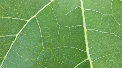 All photos are original and fresh 