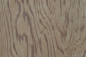 Naklejka premium Close Up Wood Door Texture