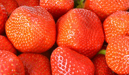 Erdbeeren