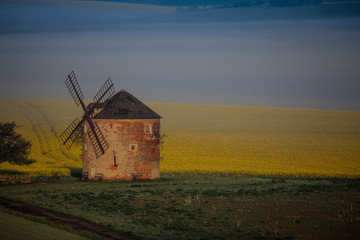 Morawy © marcinbawiec