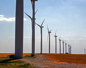 Windmill Farm Near Weatherford, Oklahoma