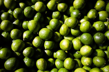 Limes (Limón) for Sale at Market in Mexico City