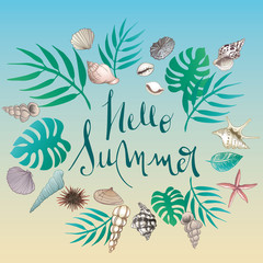 Vector seashell summer