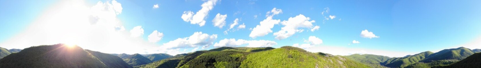 Fototapeta na wymiar Mountain forest horizontal panorama