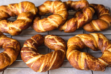 Selective focus of freshly baked bagels set to cool on a steel cooking rack.