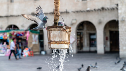 Old well fountain and pigeons in front of Al Fanar buildings, located in Souq Waqif, Doha, Qatar.