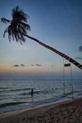 Swing hanging on palm tree, people swimming in the evening on the island Phu Quoc in Vietnam