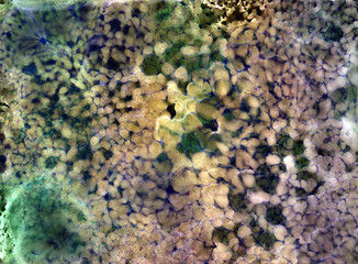 Abstract watercolor acrylic alcohol inc background texture