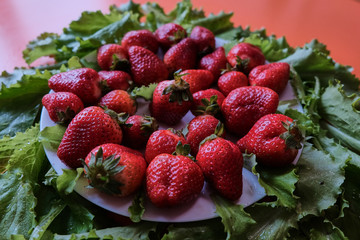 First flavored delicious sweet strawberries with two glasses with white wine 