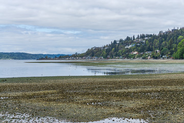 Extreme Tide Landscape 9