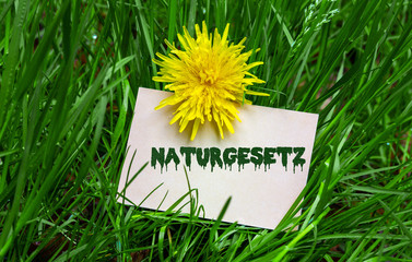 Naturgesetz