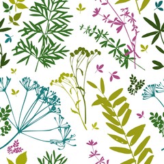 Template. Herbarium with wild flowers, branches, leaves. Botanical background on white.