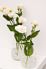 White eustoma flowers in glass on white background