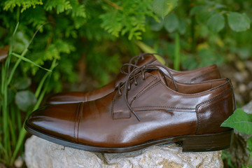 Stylish brown leather shoes for men, timeless polished Derbies with open lacing and round toe, formal footwear for suits or elegant attire positioned on stone in the garden and surrounded by greenery