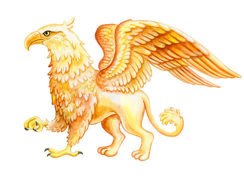 Griffin. Mythological animal isolated on white background. Fantastic golden griffin illustration. Jewelry design. Watercolor. Illustration. Template. Hand drawing. Clipart. Close-up