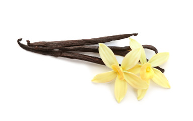 Aromatic vanilla sticks and flowers on white background