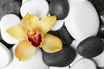 Fototapeta na wymiar Beautiful orchid flower among different spa stones, top view. Space for text