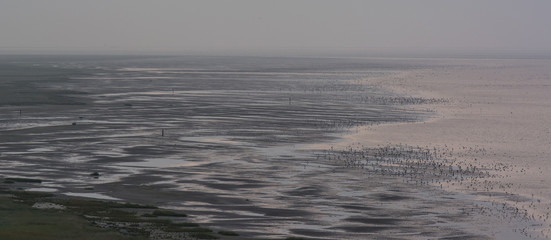 Panorama, Het oerd, Ameland, the Netherlands