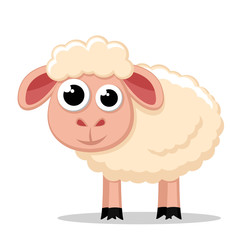 Cute sheep stands on a white. Animal