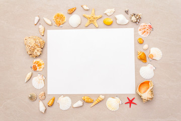 Seashells summer background