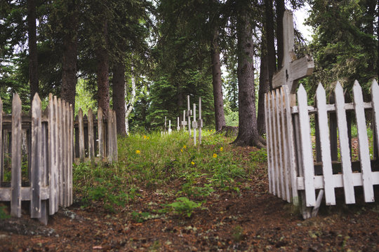 Fenced Graves in a Dense Lush Forest