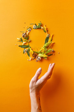 beautiful frame of flowers and leaves