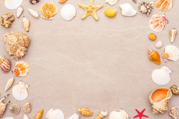 Seashells summer background