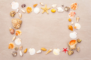 Seashells summer background