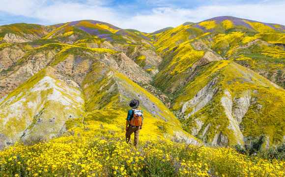 Carrizo Hills Superbloom