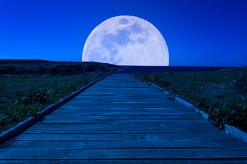 Wooden footpath to the moon