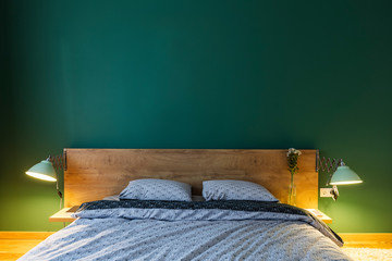 Cosy bedroom in contemporary interior