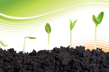 Growth of new life on green blurred background, bokeh