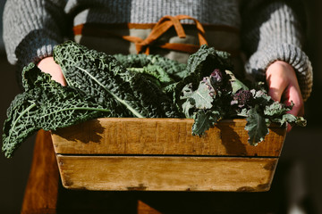 Brassicas. A box of fresh seasonal greens - savoy cabbage, brussel tops and black cabbage (calvolo nero).