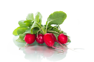 fresh organic red radish isolated on white background
