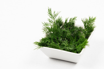 dill fresh green herb