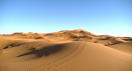 Fototapeta na wymiar Desierto y dunas