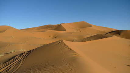 Fototapeta na wymiar Dunas en el desierto